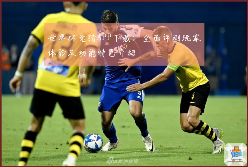 世界杯竞猜APP下载：全面评测玩家体验及功能特色介绍