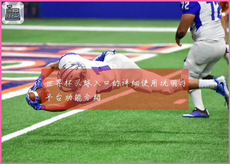 世界杯买球入口的详细使用说明与平台功能介绍