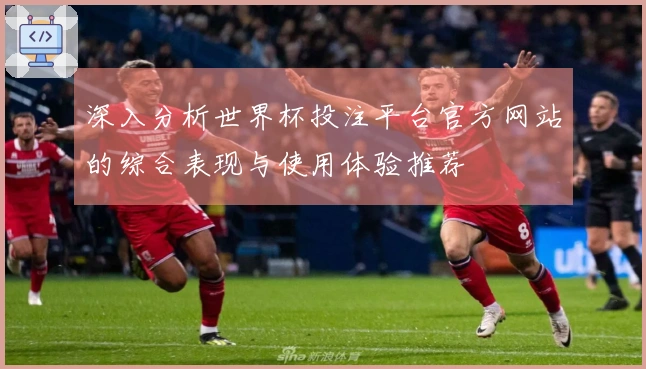 深入分析世界杯投注平台官方网站的综合表现与使用体验推荐