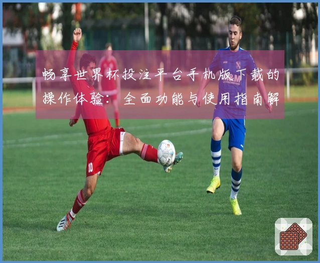 畅享世界杯投注平台手机版下载的操作体验：全面功能与使用指南解析
