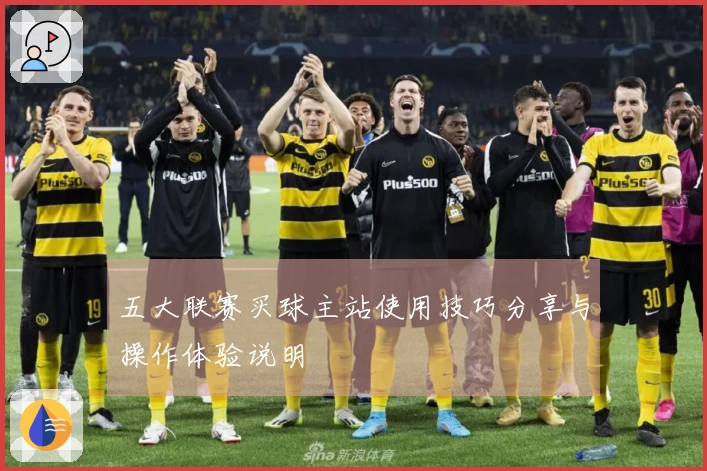 五大联赛买球主站使用技巧分享与操作体验说明