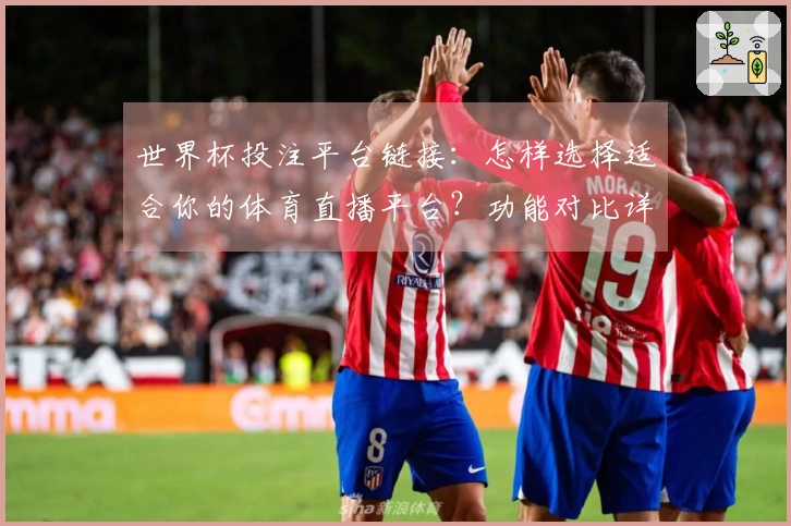 世界杯投注平台链接：怎样选择适合你的体育直播平台？功能对比详解