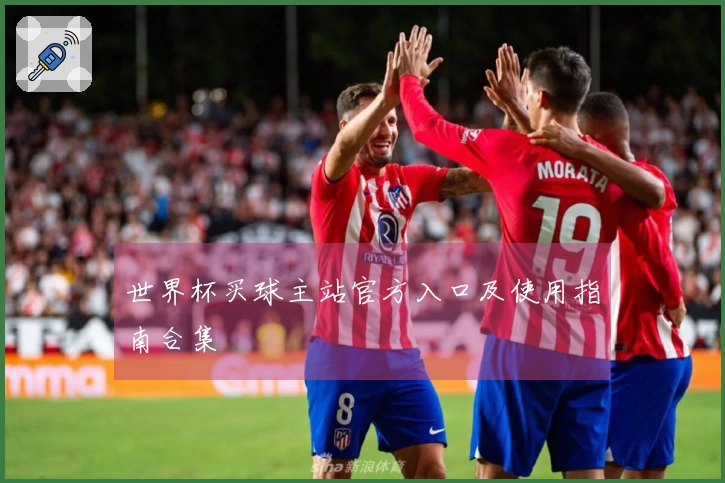 世界杯买球主站官方入口及使用指南合集