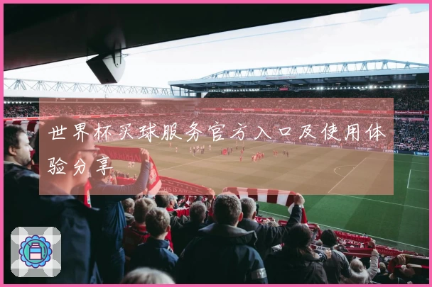 世界杯买球服务官方入口及使用体验分享