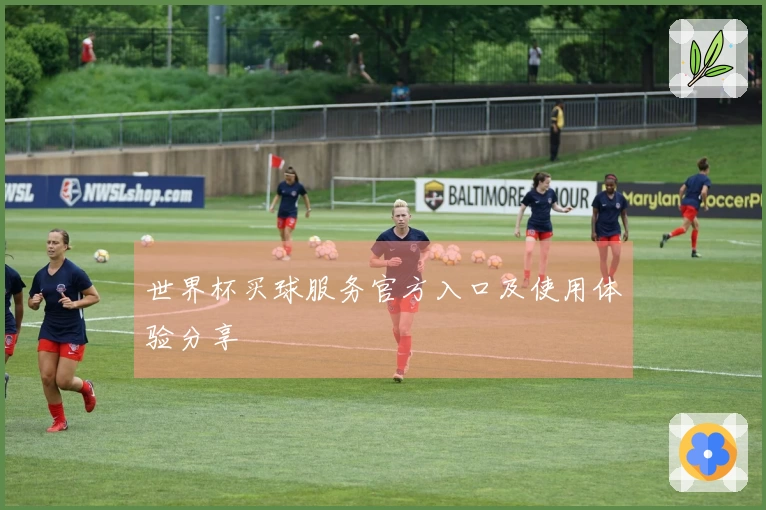 世界杯买球服务官方入口及使用体验分享