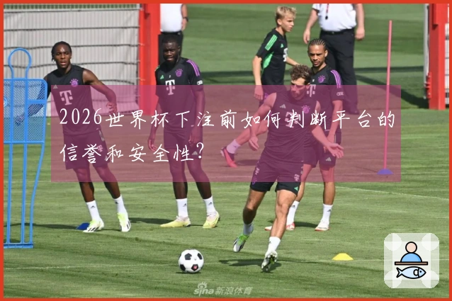 2026世界杯下注前如何判断平台的信誉和安全性？