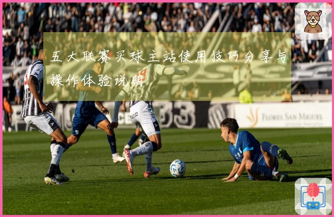 五大联赛买球主站使用技巧分享与操作体验说明