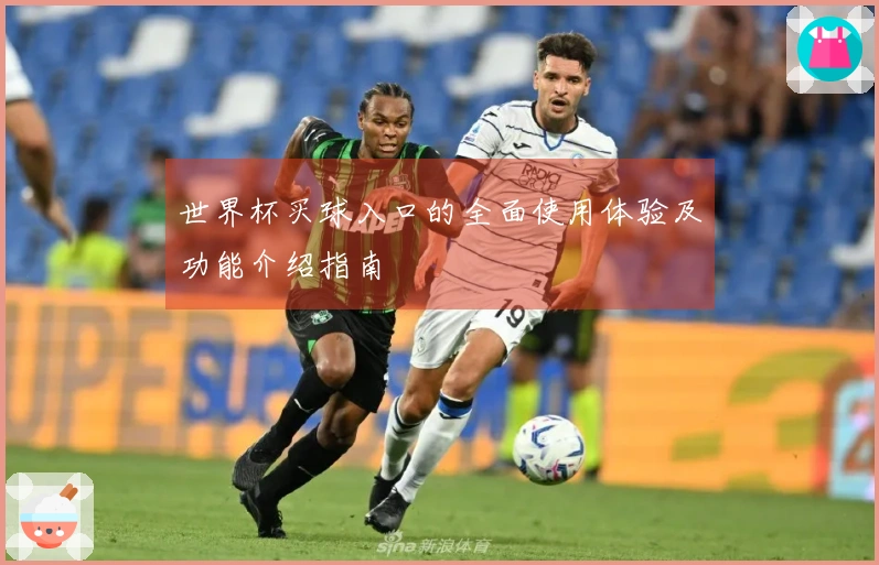 世界杯买球入口的全面使用体验及功能介绍指南