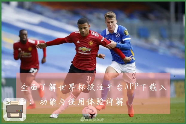 全面了解世界杯投注平台APP下载入口：功能与使用体验详解