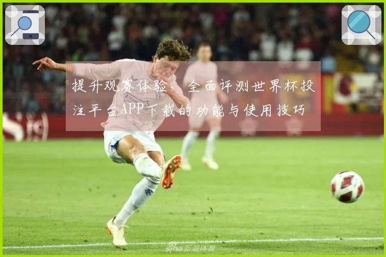 提升观赛体验，全面评测世界杯投注平台APP下载的功能与使用技巧