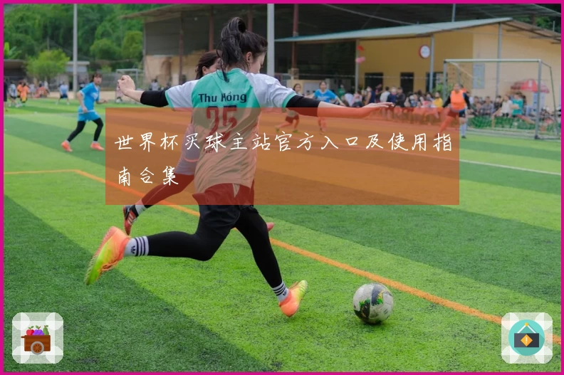 世界杯买球主站官方入口及使用指南合集