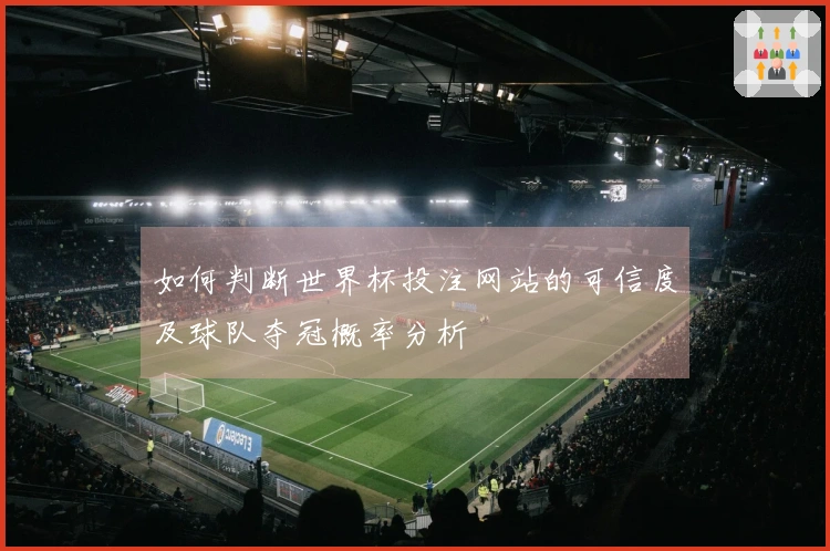 如何判断世界杯投注网站的可信度及球队夺冠概率分析