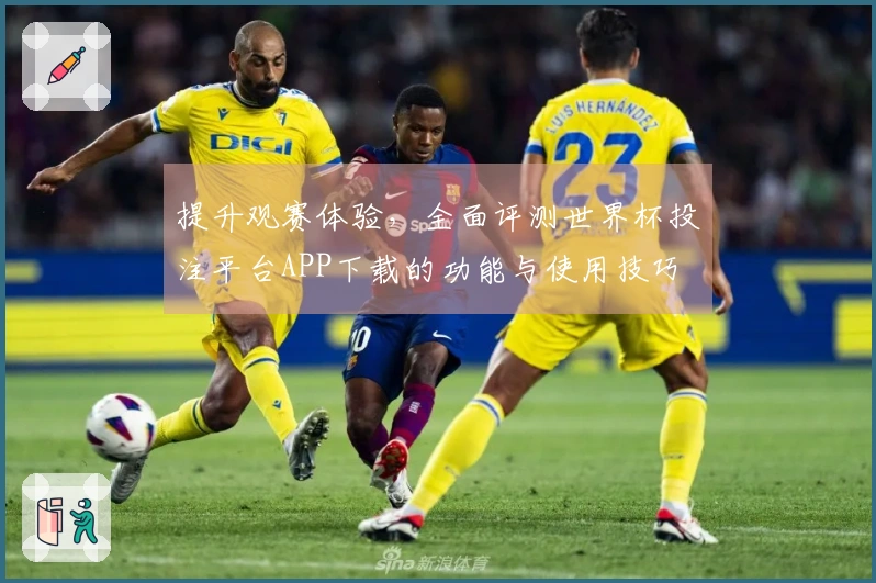 提升观赛体验，全面评测世界杯投注平台APP下载的功能与使用技巧