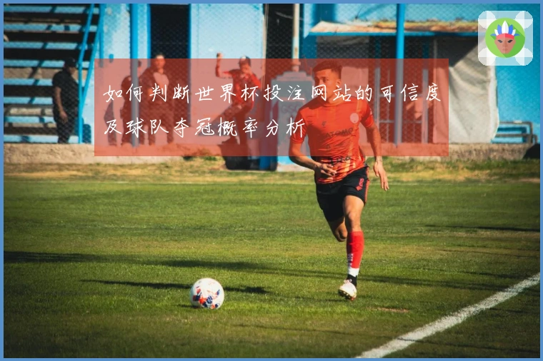 如何判断世界杯投注网站的可信度及球队夺冠概率分析